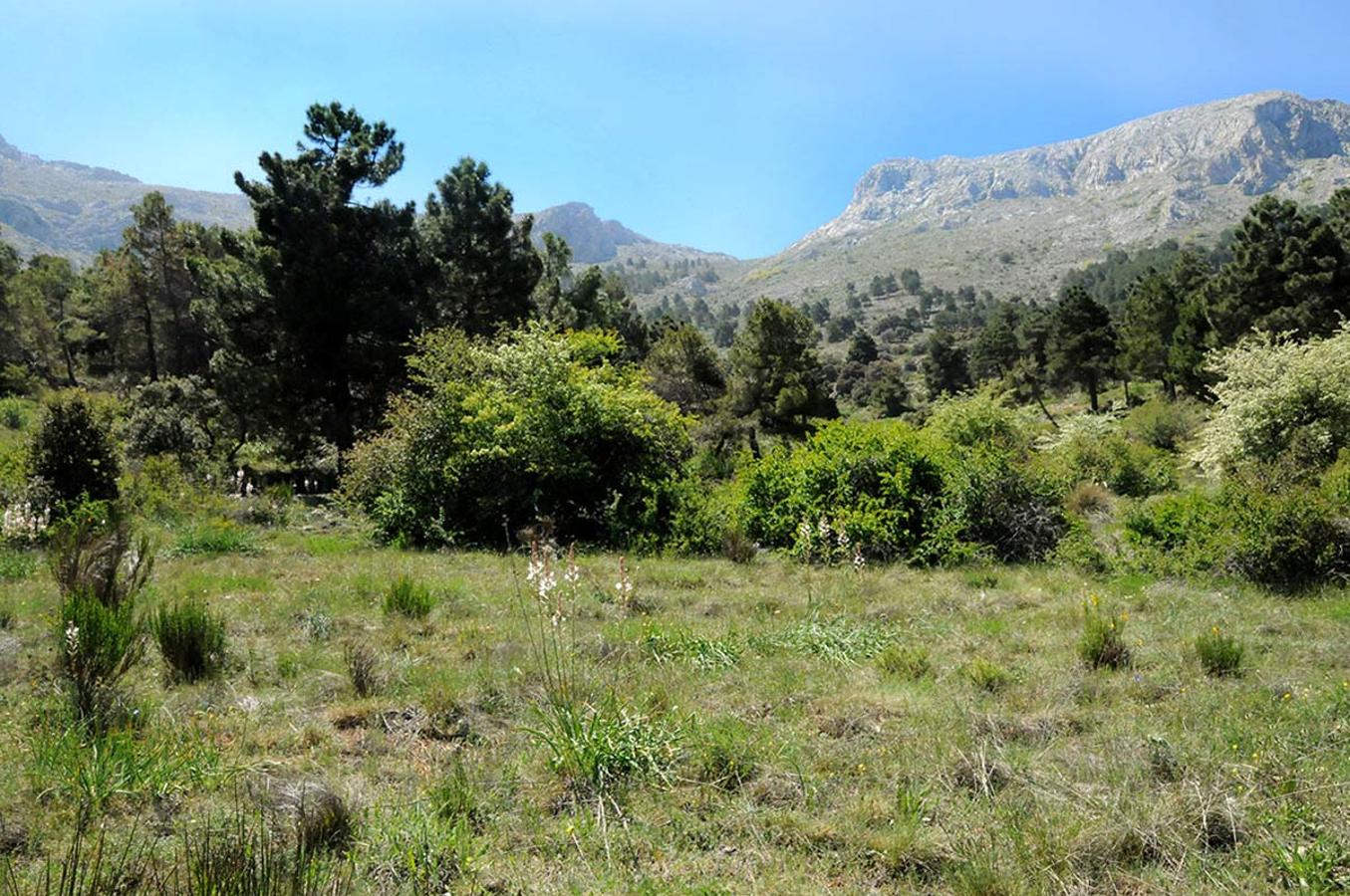 Los espacios naturales se han convertido en una nueva fuente de atracción hacia el medio rural y un aliciente económico para los pueblos. FOTO: Parque Natural de la Sierra de María, Almería