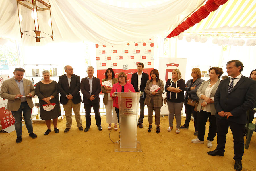 La diputada provincial de Desarrollo Sostenible y Empleo, Ana Muñoz, ha inaugurado el espacio destinado a la plataforma en la caseta de Diputación en la Feria del Corpus 2018. Más fotos de Corpus,  en este enlace