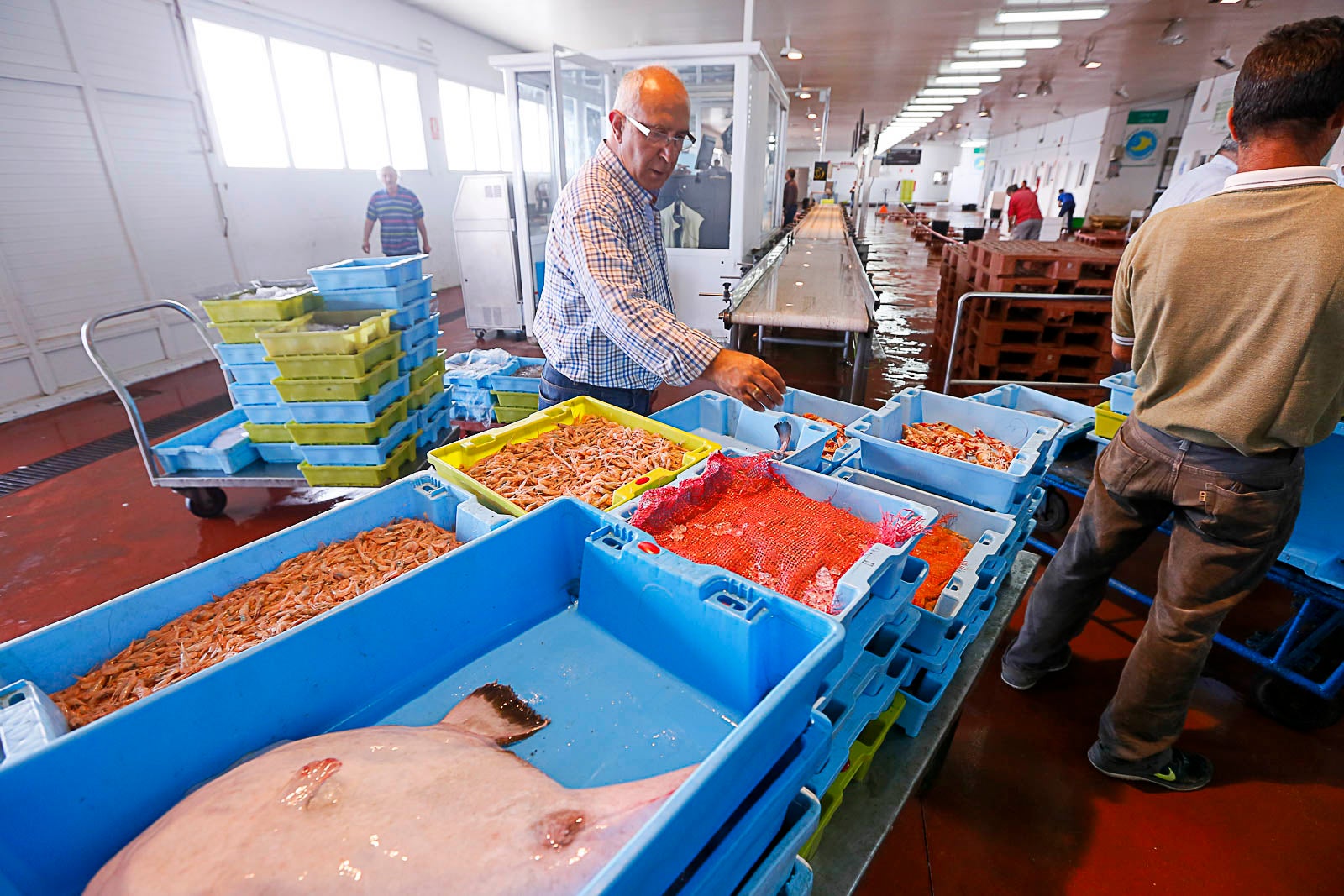 Los pescadores de arrastre podrán salir menos días a faenar y les será menos rentable ir a por esta cotizada especie, cuya pesca es compleja