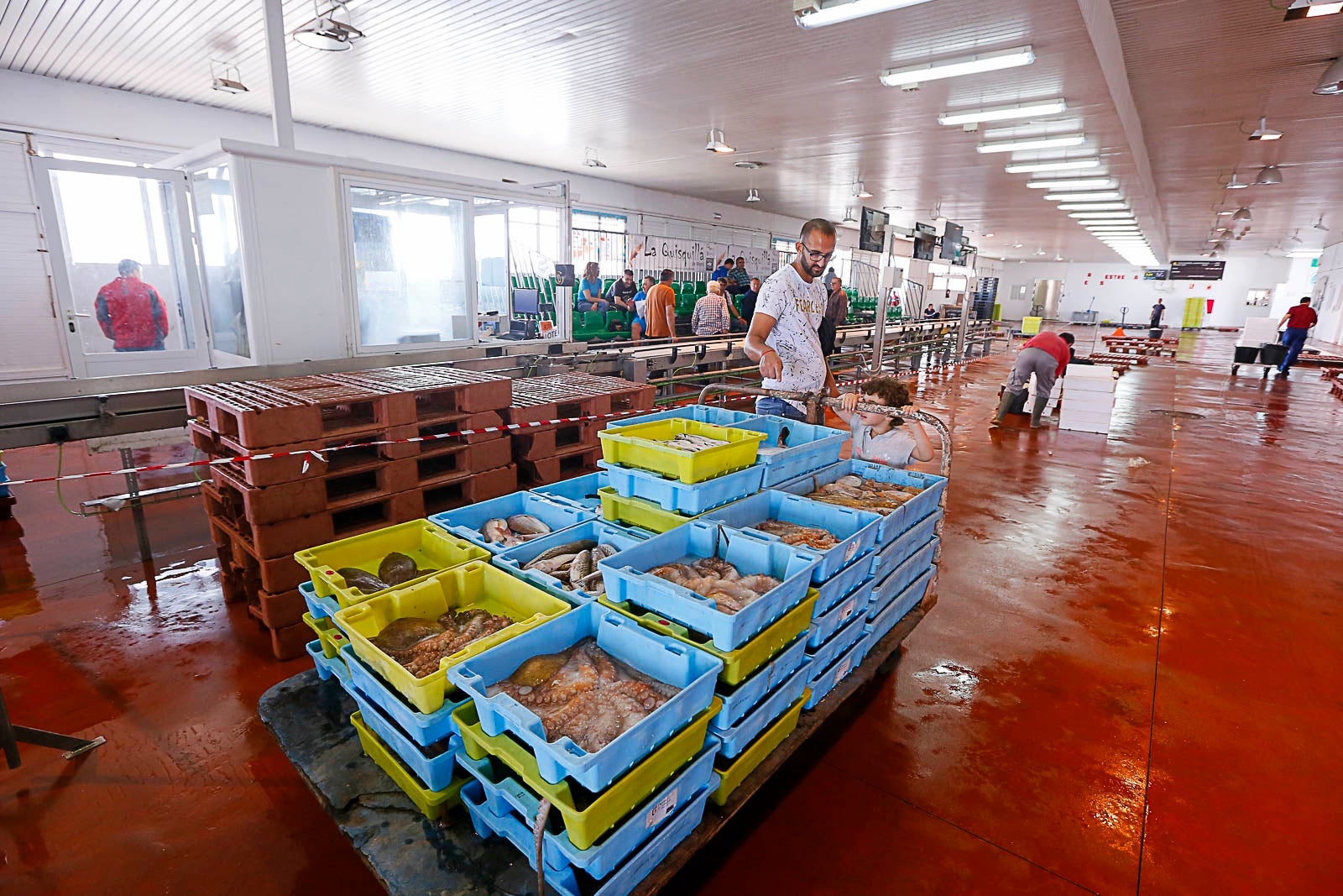 Los pescadores de arrastre podrán salir menos días a faenar y les será menos rentable ir a por esta cotizada especie, cuya pesca es compleja