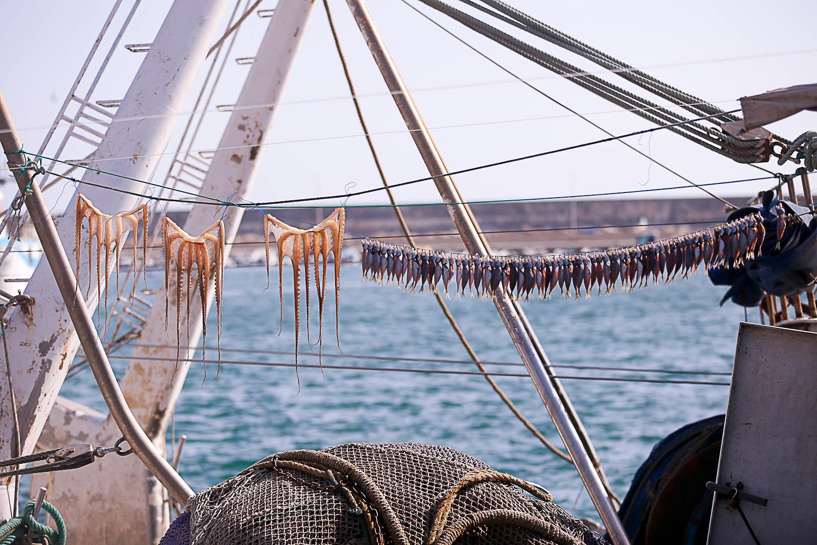 Los pescadores de arrastre podrán salir menos días a faenar y les será menos rentable ir a por esta cotizada especie, cuya pesca es compleja