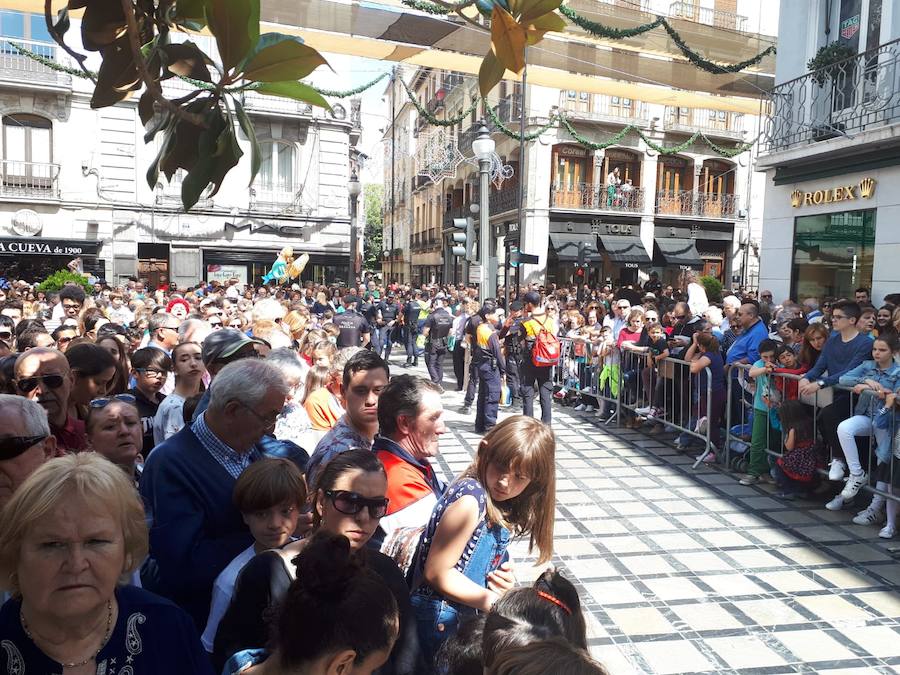 Miles de granadinos y foráneos se han acercado hasta la plaza del Carmen para acompañar a La Tarasca en su desfile por le centro de la ciudad. Puede ver más fotos del Corpus en  este enlace .