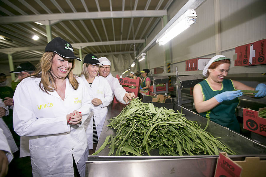 La presidenta de la Junta de Andalucía ha vuelto hoy a Granada tras un tiempo sin visitas para recorrer las instalaciones de la cooperativa El Grupo de Castell de Ferro