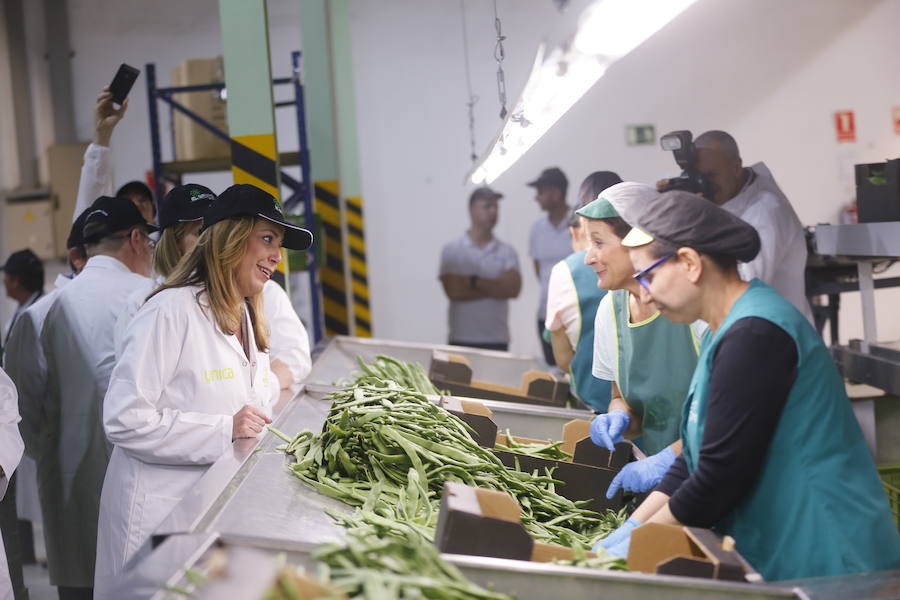 La presidenta de la Junta de Andalucía ha vuelto hoy a Granada tras un tiempo sin visitas para recorrer las instalaciones de la cooperativa El Grupo de Castell de Ferro