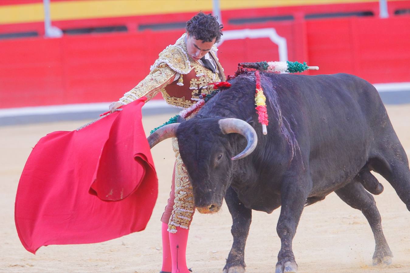 El diestro peruano Joaquín Galdós protagonizó la primera salida a hombros del serial, merced a una entregadísima actuación, en una tarde en la que Álvaro Lorenzo también rayó a buen nivel, pero perdiendo el triunfo por su mala espada. Puedes ver todas las imágenes de este Corpus pinchando en el  siguiente enlace .