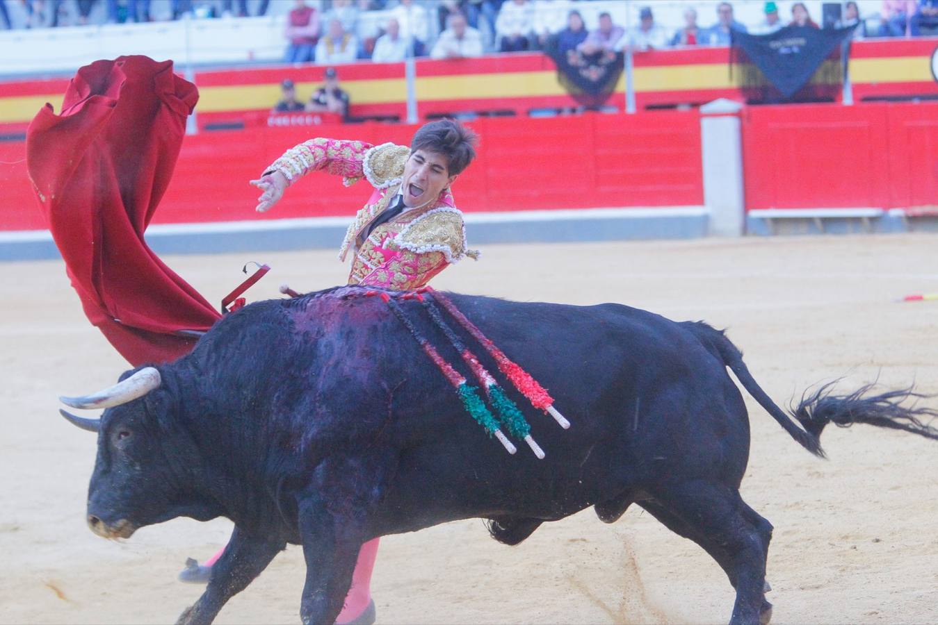 El diestro peruano Joaquín Galdós protagonizó la primera salida a hombros del serial, merced a una entregadísima actuación, en una tarde en la que Álvaro Lorenzo también rayó a buen nivel, pero perdiendo el triunfo por su mala espada. Puedes ver todas las imágenes de este Corpus pinchando en el  siguiente enlace .