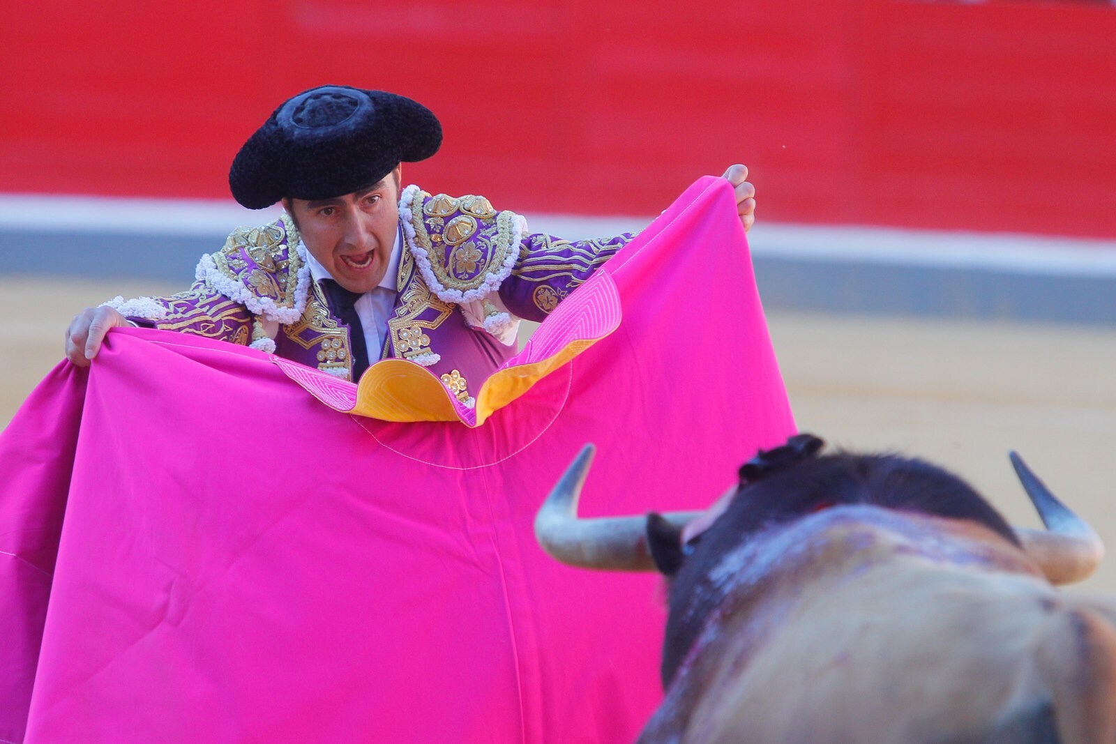 Las mejores imágenes de la corrida del viernes. Para ver el resto de las fotografías del Corpus puedes hacerlo en  este enlace