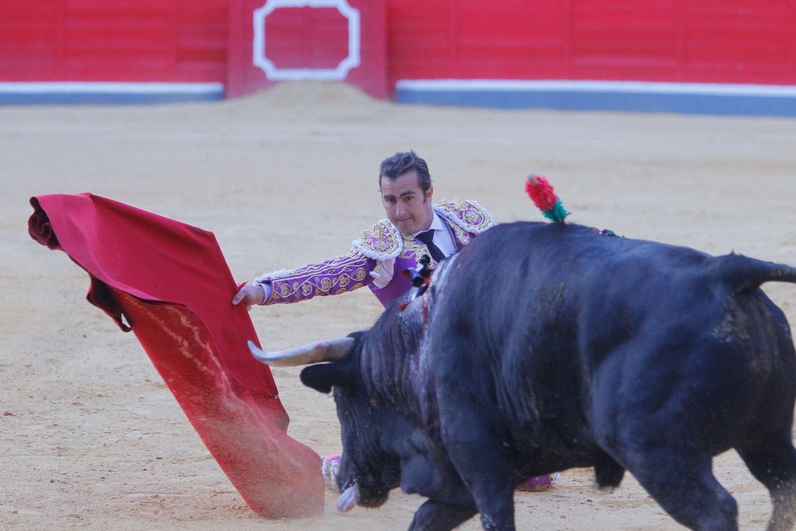 Las mejores imágenes de la corrida del viernes. Para ver el resto de las fotografías del Corpus puedes hacerlo en  este enlace