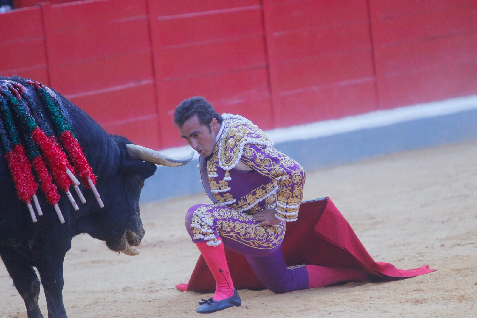 Las mejores imágenes de la corrida del viernes. Para ver el resto de las fotografías del Corpus puedes hacerlo en  este enlace