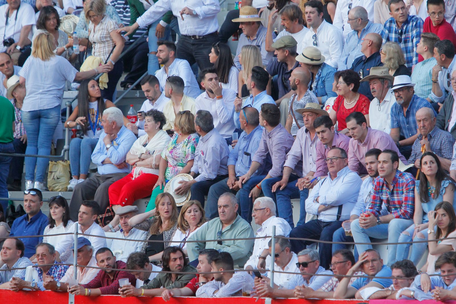 Las mejores imágenes de la corrida del viernes. Para ver el resto de las fotografías del Corpus puedes hacerlo en  este enlace