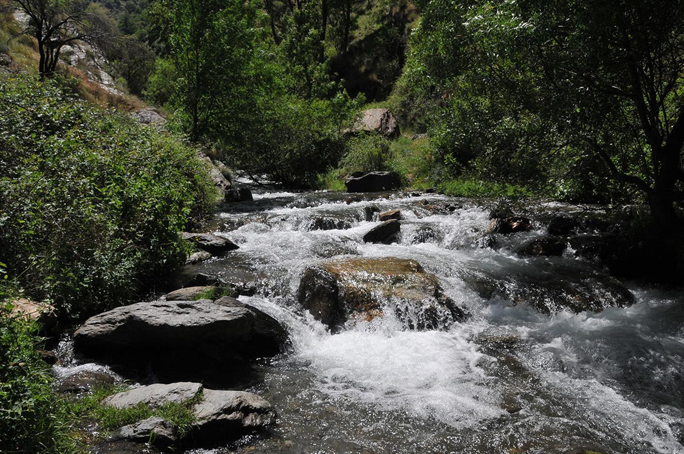 Ecosistemas acuáticos La falta de regularidad en las precpitaciones de lluvia y nieve, provoca periodos de máximos y mínimos caudales, que afectan directamente a la viabilidad de la biodiversidad. El aumento de la temperatura del agua provocan cambios en las comunidades de fauna y flora. Vertebrados e invertebrados ascienden altitudinalmente en busca de aguas más frías. La recuperación de acequias tradicionales amortiguará los efectos del cambio climático en ecosistemas acuáticos.