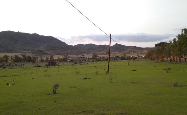 Declarado un incendio forestal en un paraje de Níjar