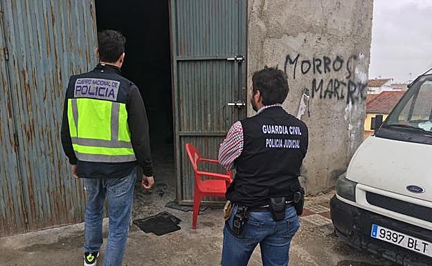 Veinte detenidos en una operación antidroga en La Carolina y Segura de la Sierra