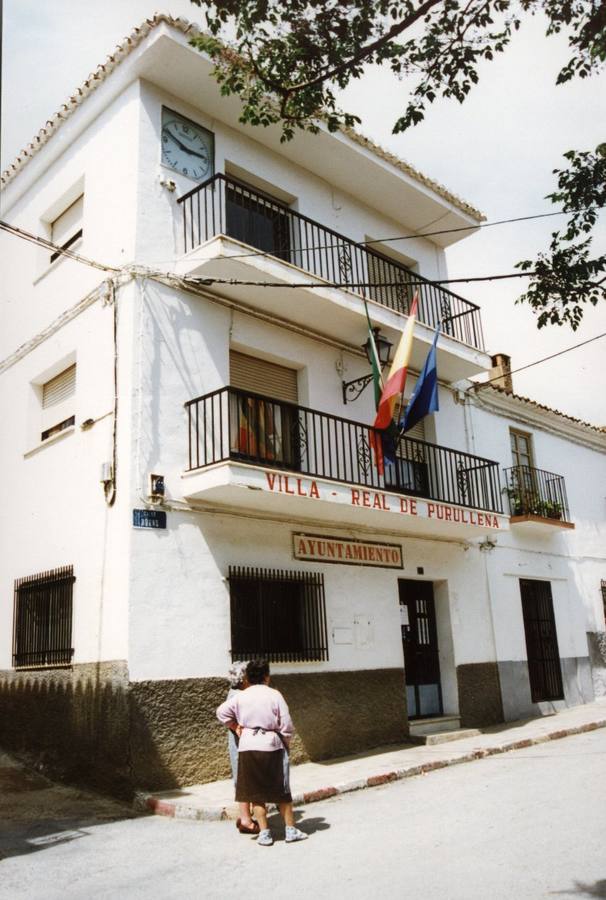 Purullena: Población: 2.329 | Partido que ganó las últimas elecciones: PSOE (5 concejales) | Partido que gobierna: PSOE | Mayoría absoluta: No