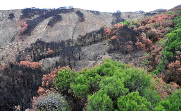 Defensores de la Naturaleza