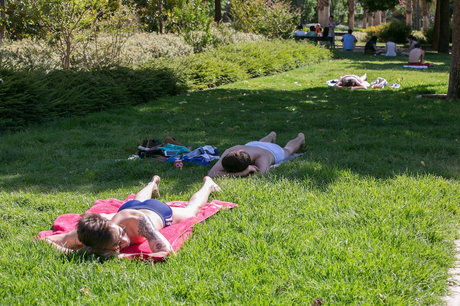 Los termómetros ya marcan los 32ºC