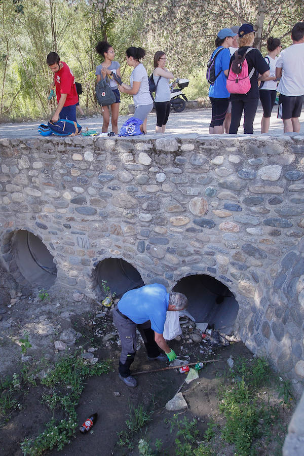 Ayer se desarrolló una batida de limpieza por la ribera del Genil a su paso por Cenes, actividad enmarcada en el Proyecto Libera