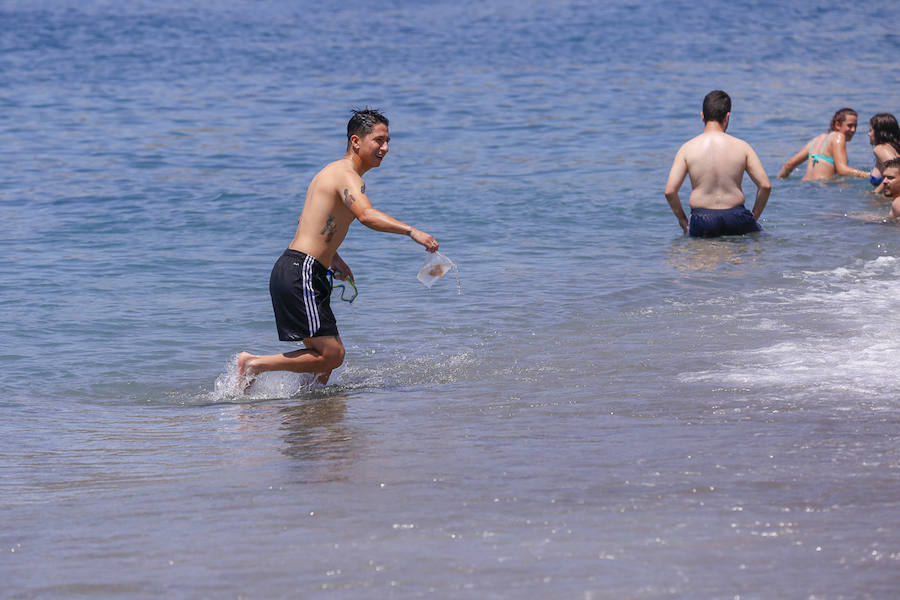 La Costa granadina se llena de 'cazadores' de medusas que ayudan a aliviar la orilla