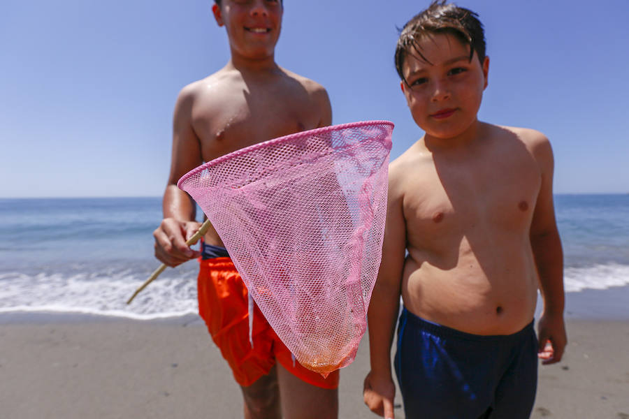 La Costa granadina se llena de 'cazadores' de medusas que ayudan a aliviar la orilla