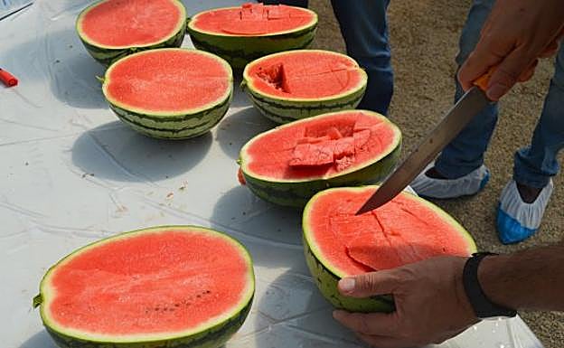 Advierten del peligro de comprar fruta cortada: está en juego tu salud