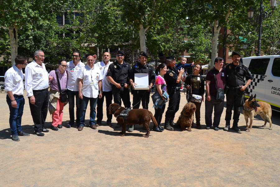 La Escudería 49.9 ofrecía a los aficionados del mundo de motor unas horas de disfrute, en especial a los más pequeños con síndrome de Down o afectados de alguna enfermedad que pudieron viajar por el centro de Granada en moto, sobre todo Harley Davidson o en coches clásicos o de competición