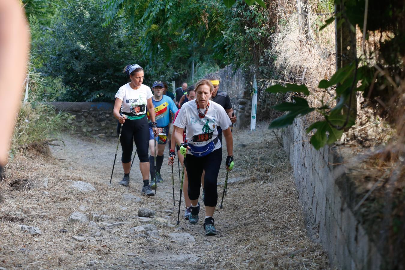 Mientras muchos granadinos pasaban el fin de semana en la playa, en la capital se celebró la III Carrera Nocturna de la Alhambra, parte de la Copa Andaluza de Marcha Nórdica, con cerca de 300 participantes sumando sus tres modalidades