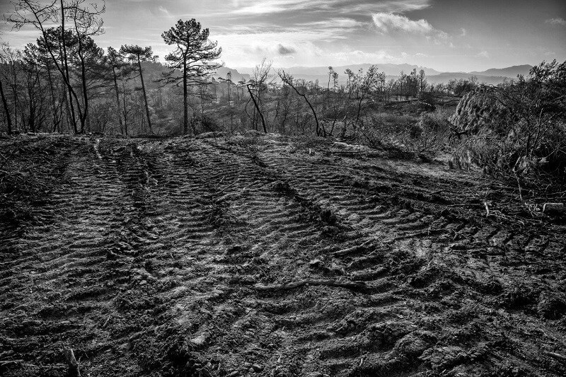 'Deforestación en Segura' gana el V Concurso Fotográfico de Naturaleza