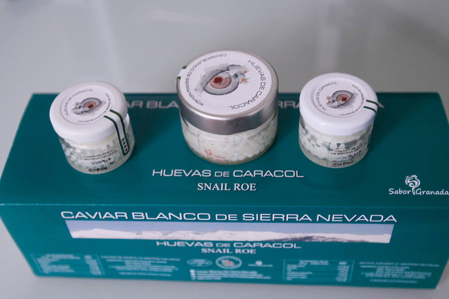 Una granja familiar en Cenes de la Vega produce este exclusivo manjar que se vende a 1.600 euros el kilo.