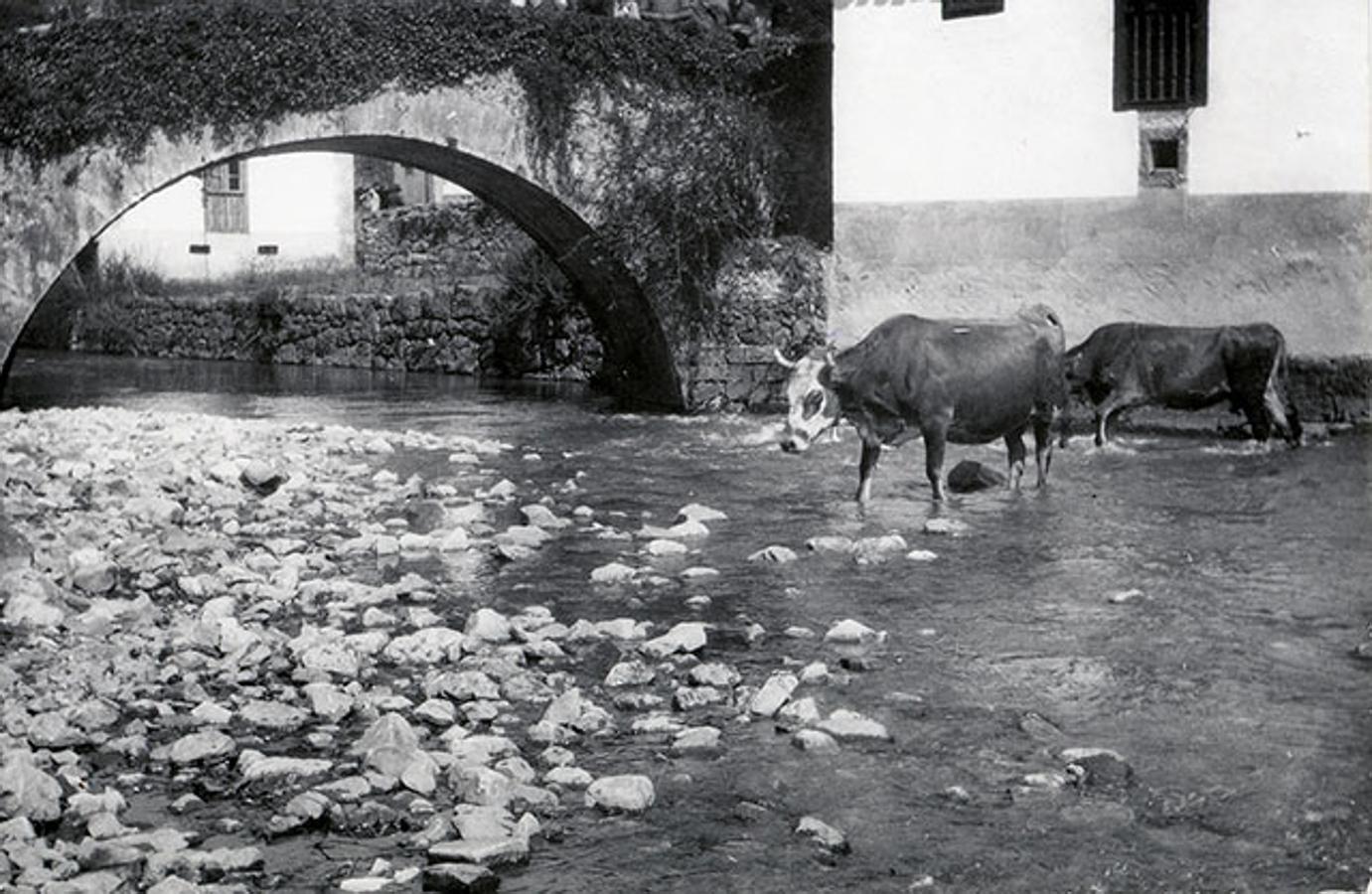 Centenario de los Parques Nacionales. Picos de Europa