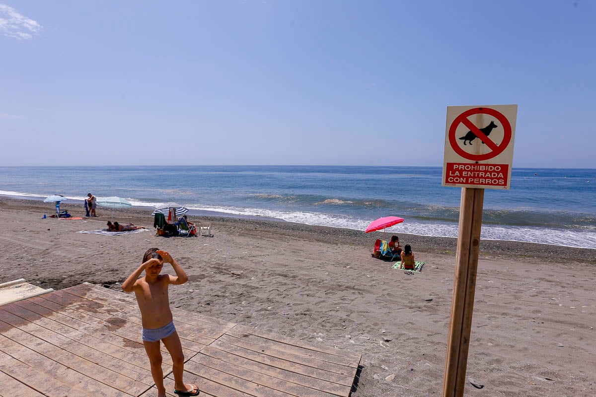 La Playa de la Rábita pertenece al municipio de Albuñol y está compuesta por arena fina y pequeñas piedras en la orilla. Cuenta con servicios de limpieza, duchas, aseos, embarcaderos y pasarelas de acceso que, además, están adaptadas para discapacitados. Para aquellos que accedan a la playa con vehículo, hay aparcamientos junto al Paseo Marítimo, al igual, que diversos chiringuitos para disfrutar de una buena comida.