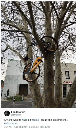 El vandalismo que sufren las bicis de alquiler compartido no es exclusivo de Granada. De Marbella a Madrid, de Florencia a Turín, de Roma a Manchester y en ciudades como Melbourne, estos vehículos de dos ruedas han recalado en basuras, encima de árboles o en el fondo de canales y ríos.