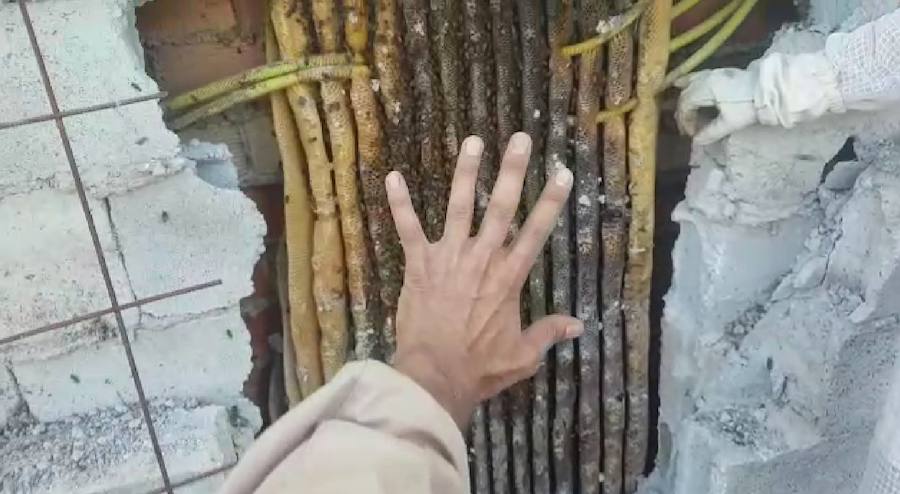 Se trata de una colmena que llevaba entre seis y siete años establecida en una casa abandonada situada entre Híjar y Cúllar Vega. Ha sido rescatada por el apicultor y apiterapeuta Sergio Guerrero, del grupo 'La Colmena Sanadora'.