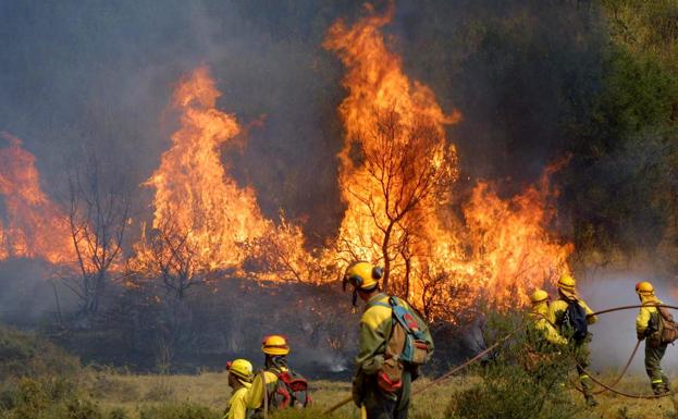 Reclaman en Granada una ley que proteja a los agentes de medio ambiente y celadores forestales