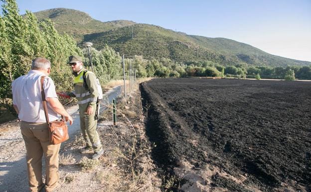 Galería. El incendio del paraje de Cubillas, extinguido. 