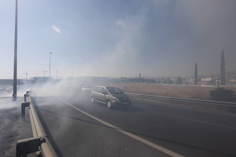 El fuego se ha producido cerca de la A-44 por lo que las llamas se han podido ver desde los vehículos que accedían o salían de la capital