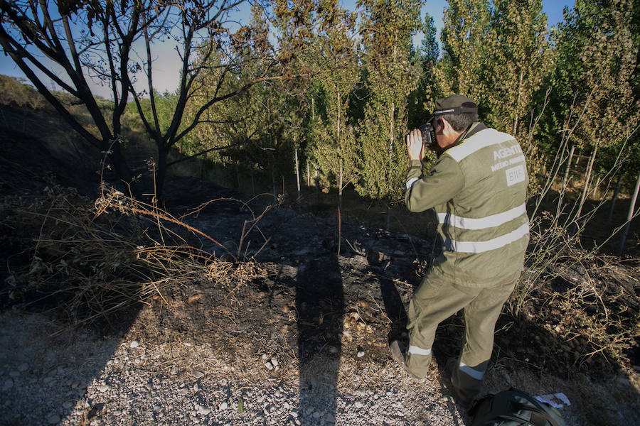 Un helicóptero, un vehículo autobomba y 7 bomberos forestales han actuado en la extinción del fuego