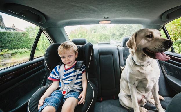 ¿Con cuántos grados fuera del coche puede sufrir un niño un golpe de calor dentro?