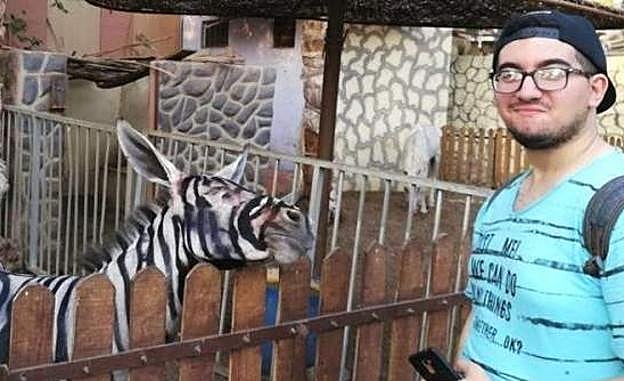 Cierran el zoo que exhibía a sus burros pintados de cebras