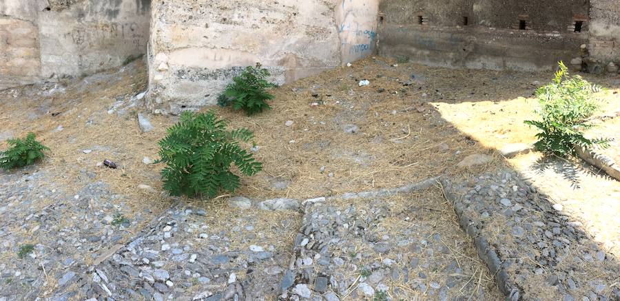 Las pintadas siguen ensuciando el barrio, pese a la disminución tras la puesta en funcionamiento de las cámaras de vigilancia. Los botellones ensucian algunos de los 'ángulos muertos' de este sistema.