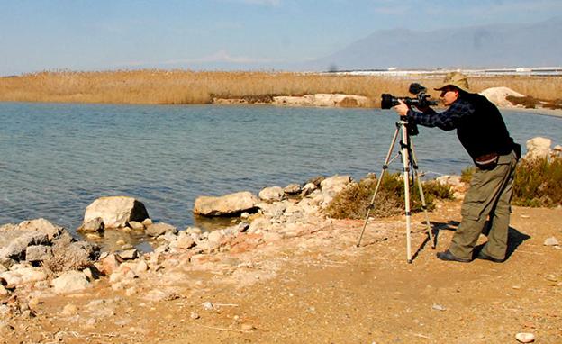 Andalucía oriental posee magníficos lugares para la observación de avifauna
