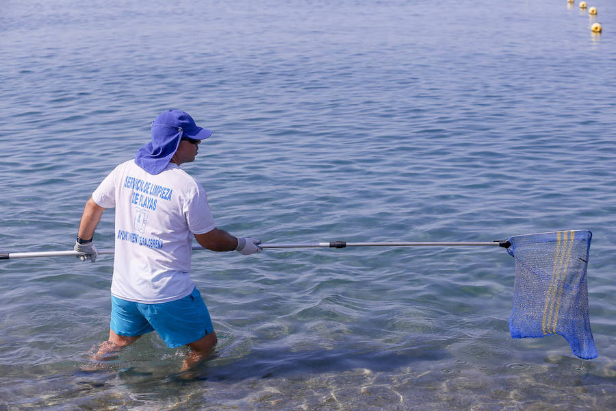 Este novedoso sistema, que tiene menos coste y resulta más efectivo, está implicando a los usuarios de la playa que ayudan a estos trabajadores 