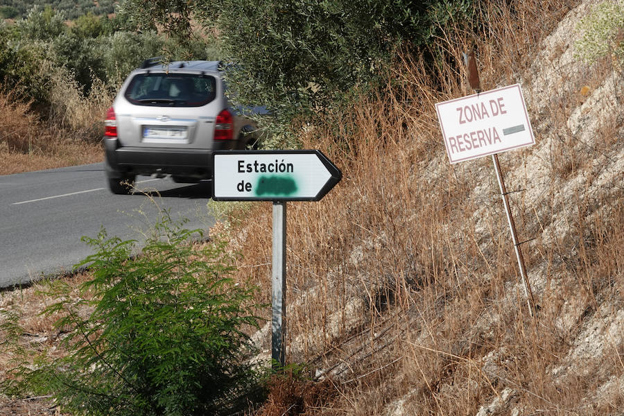 Acceso a la estación de Píñar.