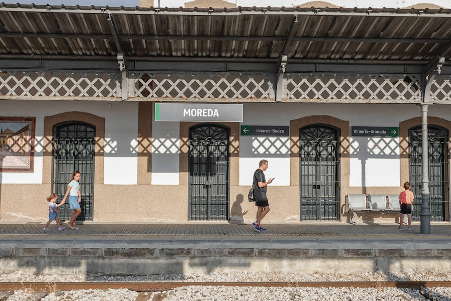 En la línea de tren que volverán a recorrer los trenes para conectar con Madrid hay estaciones abandonadas, campos sembrados y recuerdos del patrimonio ferroviario granadino. Eso si, la línea está perfectamente operativa.