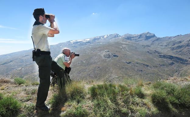 Agentes de Medio Ambiente durante una observación