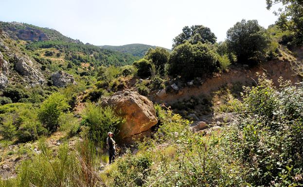 Flora y geología se dan la mano en la dehesa de San Jerónimo 