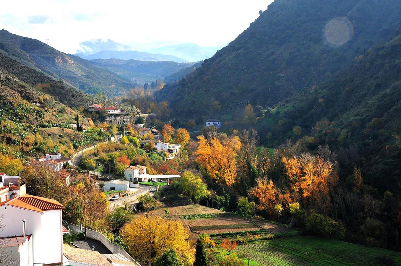 Los álamos tiñen de ocres el valle del Darro