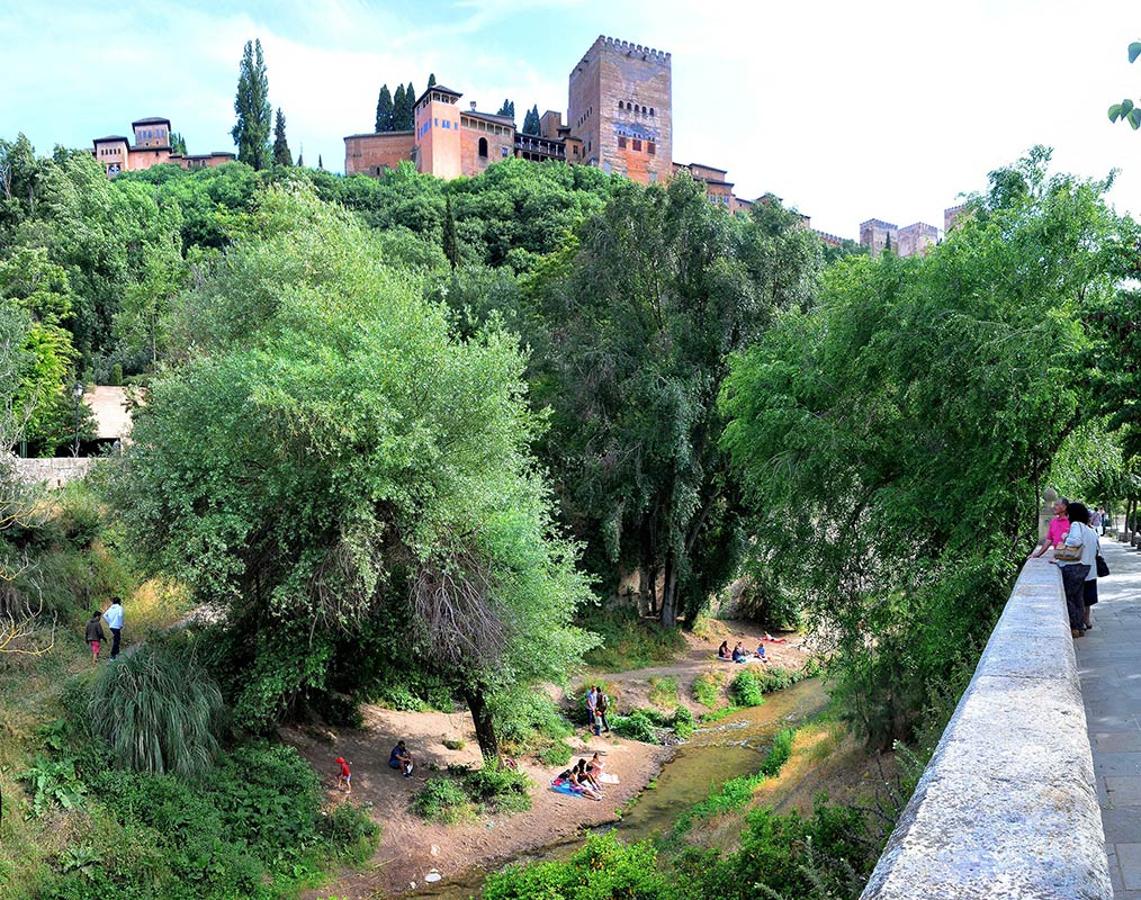 Las alamedas del Darro que desde el Paseo de los Tristes se alzan hacia las torres de la Alhambra