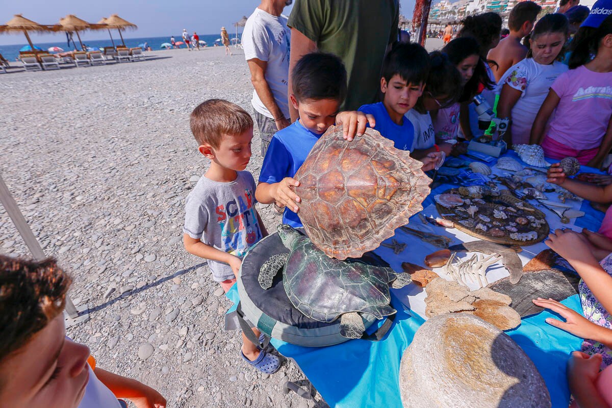 Los niños de Almuñécar descubren con el Aula del Mar de Málaga los fondos marinos y aprenden a socorrer a los delfines