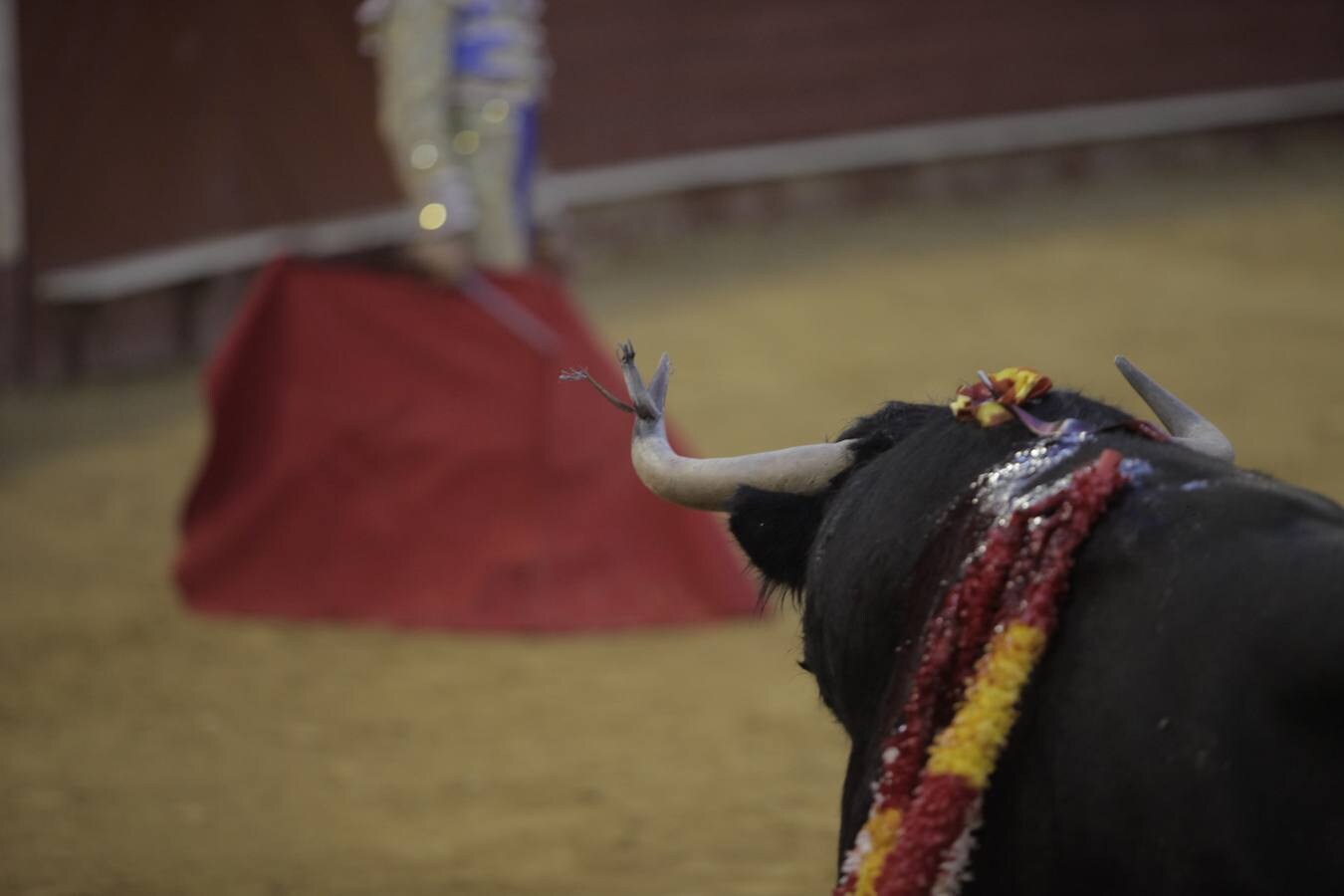 Curro Díaz abre la puerta grande con una faena de su corte, con excelentes pasajes de toreo al natural en la despedida sin premio para Ruiz Manuel