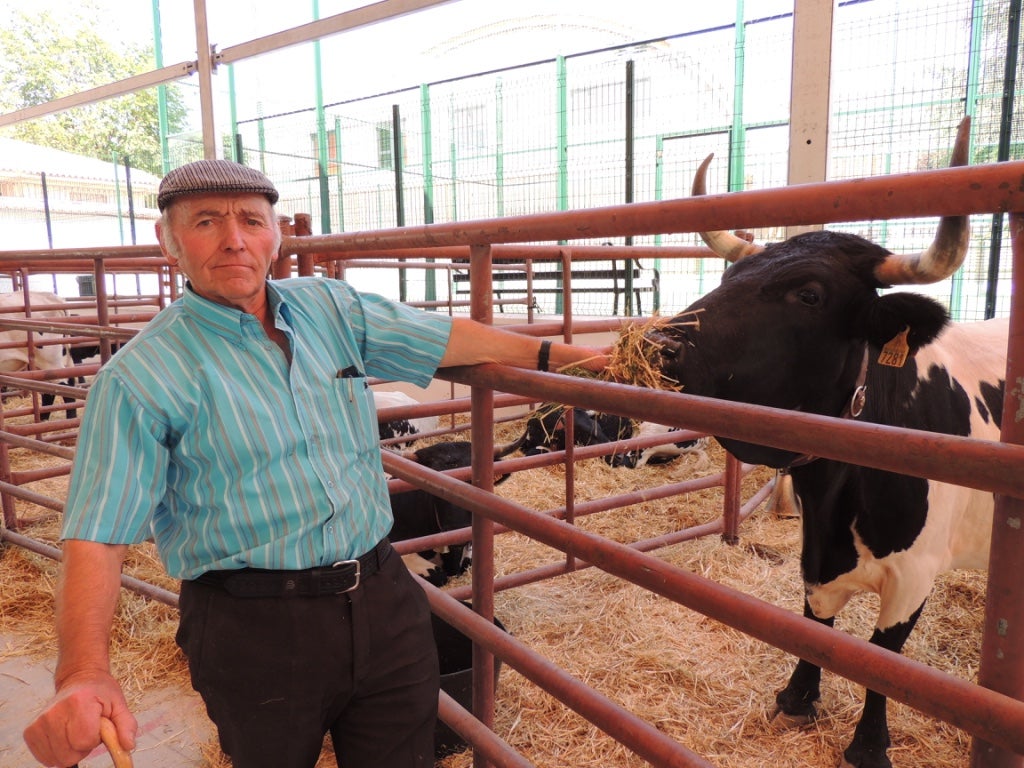 La XXXV Feria de Muestras del Parque Natural de Sierra Mágina alcanza el ecuador con gran afluencia de público y diversas actividades paralelas 